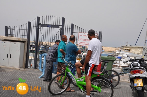 mina2yaffan51i (25).JPG